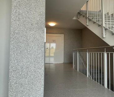 Kleines Appartement mit Pflegeangebot ab sofort! WBS erforderlich u... - Foto 5