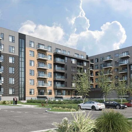 Spacieuse Unité 1 Chambre au Complexe Le Pivot - Condo / appartement / logement à louer Québec - Photo 4