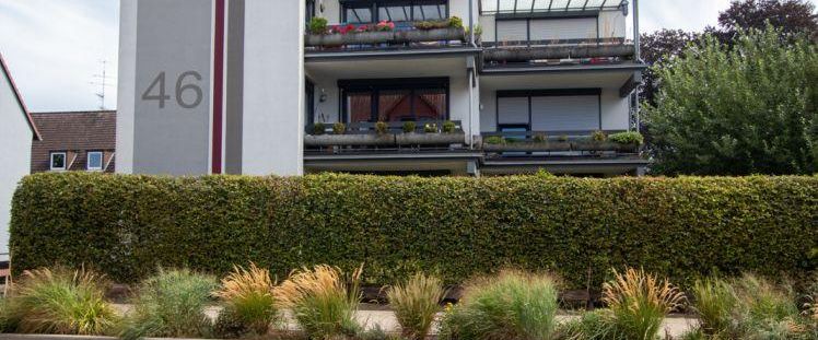 Attraktive 3 Zimmerwohnung im Terrassenhaus in Walsrode zu mieten - Foto 1