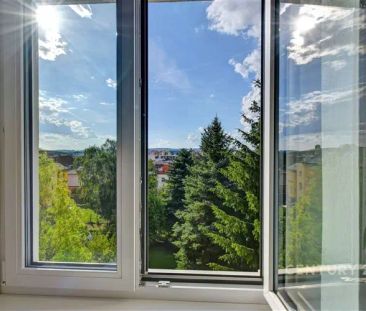 Prostorný byt 3+1 s výhledem do zahrady vnitrobloku - Photo 6