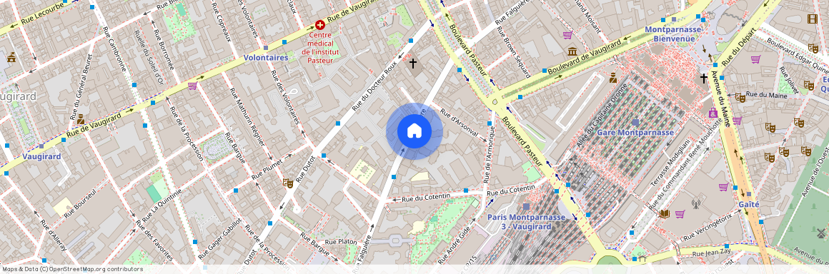 81 Rue Falguière, 75015, Paris