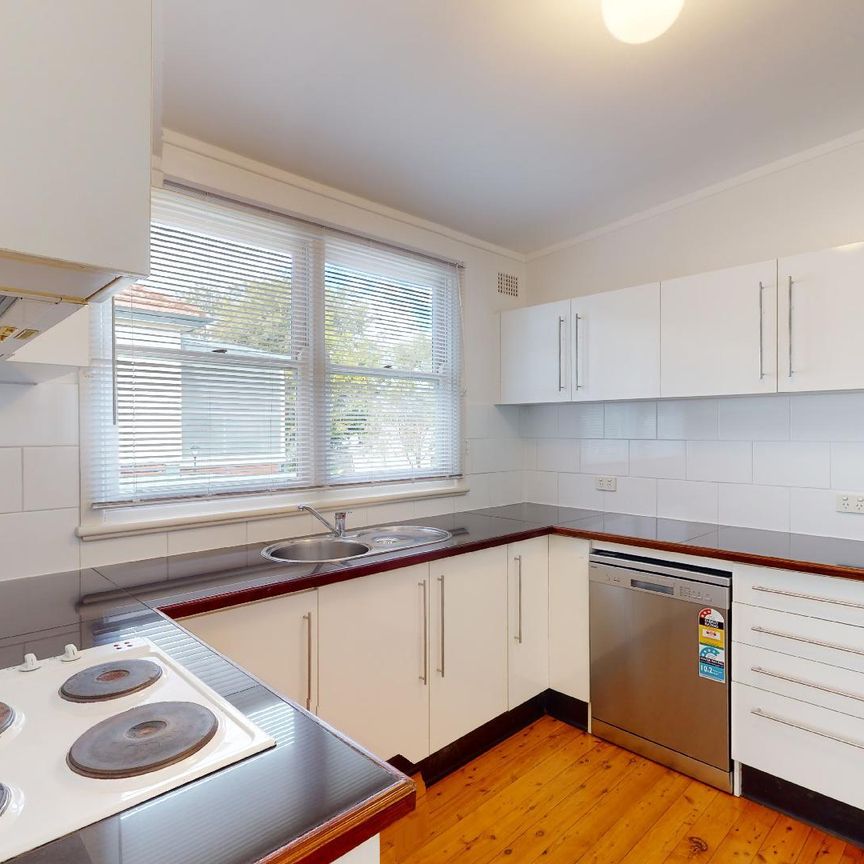 49 Magin Crescent, Wallsend NSW 2287 - Photo 1