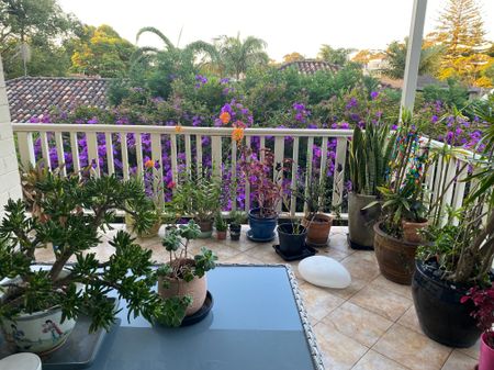 Vaucluse - Photo 3