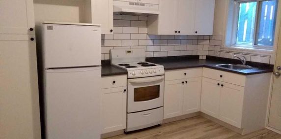 Beau 3 1/2 – Rosemont – Sous-sol bien entretenu et rafraîchi - Photo 2