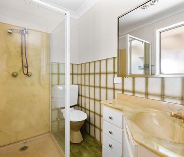 Updated 4-bedroom family home in a prime location - Photo 6