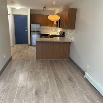 Pet Friendly Studio Apartment($500 off First Month) - Photo 1