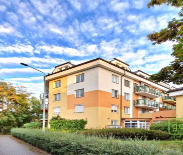 Pronájem bytu 2+kk 46 m2 - Fotografie 3