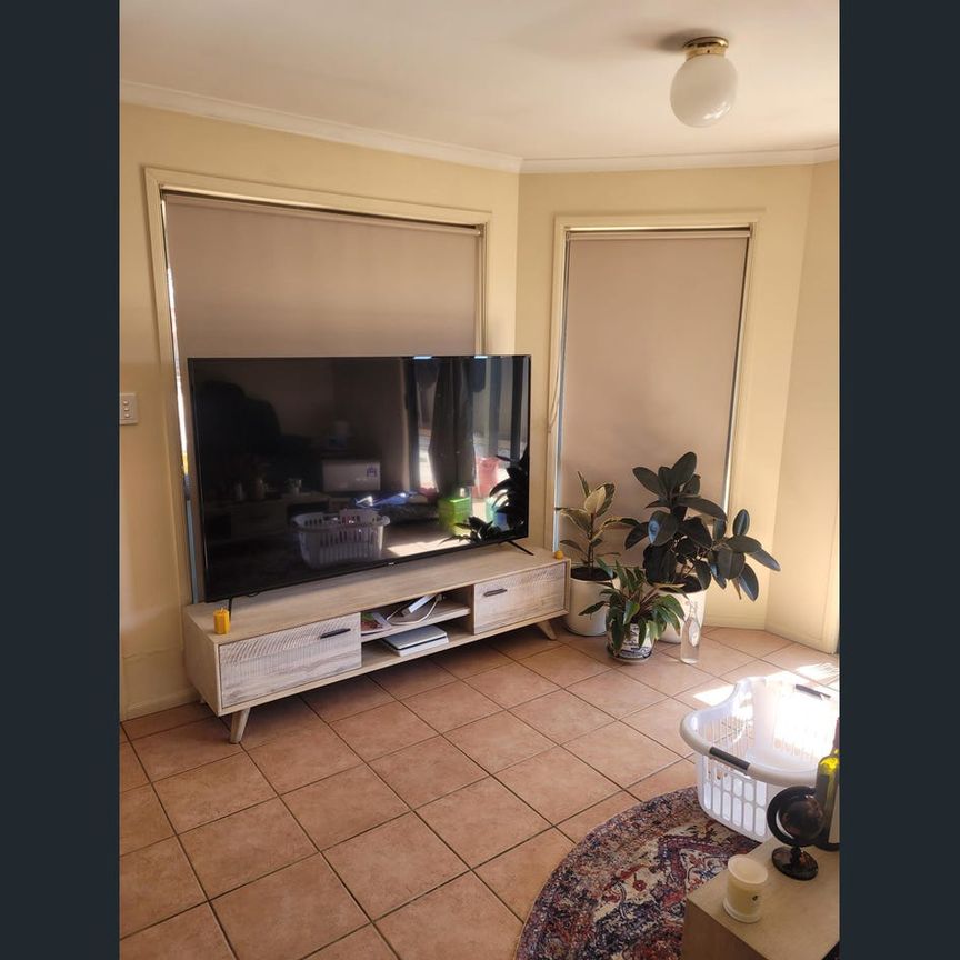 Neat and Tidy 3 Bedroom, 1 Bathroom - Photo 1