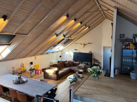 SERSKAMP - Luxueuze loft met groot terras. - Photo 2