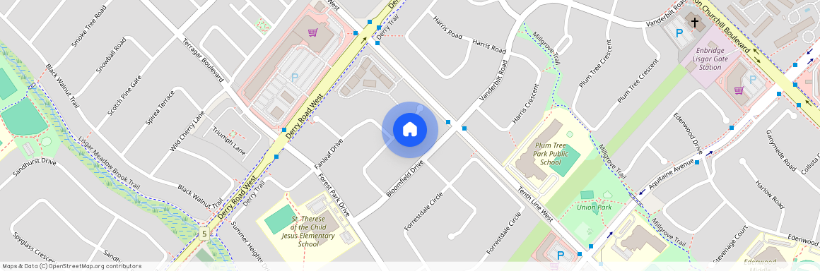 3228 Coralbean Place Unit# Lower, Mississauga