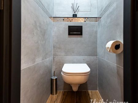 Pronájem bytu 2+1 49 m2 - Fotografie 3