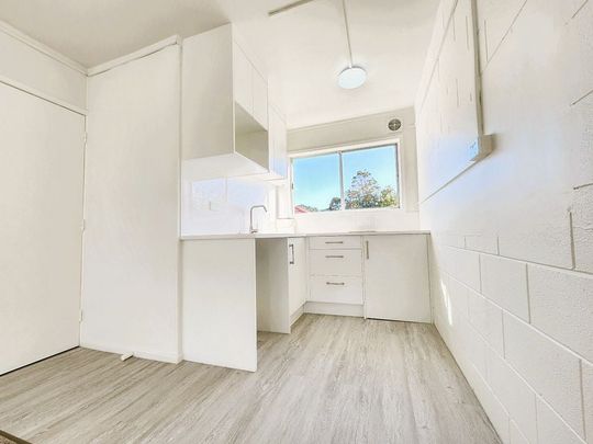 Newly renovated 1-Bedroom - Photo 1