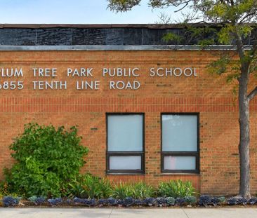 For Lease - 3143 Innisdale Road Unit# Basement, Mississauga, Ontario - Photo 2