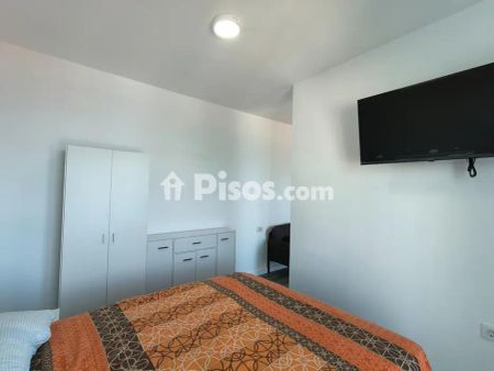 Piso en alquiler en Calle Salema, cerca de Calle Sargo - Foto 3