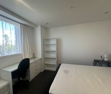 Fabulous Opportunity! - Photo 6