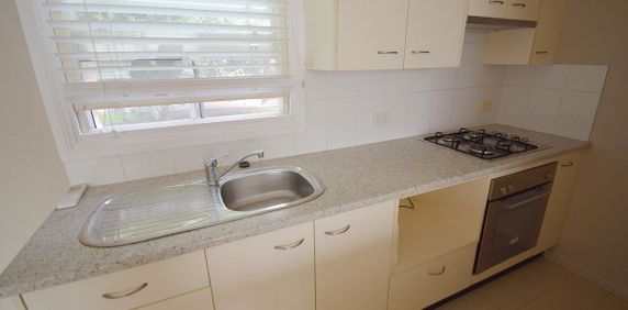 Wonderful One Bedroom Unit in Leafy Enmore! - Photo 2