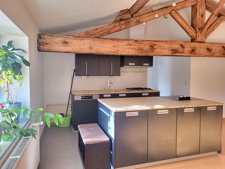 Appartement 995 euros HC Neuville-Sur-Saone 4 pièce(s) 92 m2 , Neuville sur saone - Photo 4