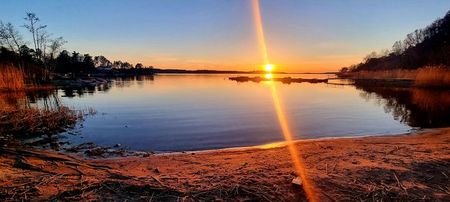Torsby skogsväg, Värmdö - Foto 3