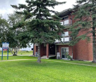 Ironwood Apartments - PARKING SPACE & WATER INCLUDED | 591 Wallace ... - Photo 1