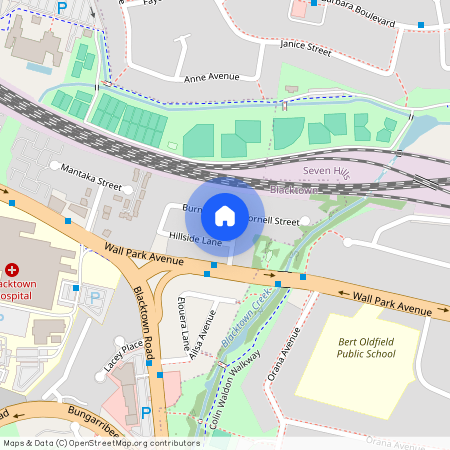 6a Burnie Street, Blacktown