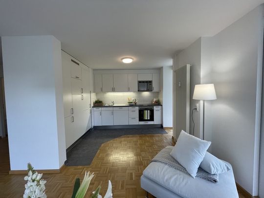 Rent a 4 ½ rooms apartment in Liestal - Photo 1