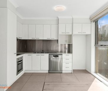 1/63A Torrens Street, Braddon ACT 2612 - Apartment For Rent | Domain - Photo 6
