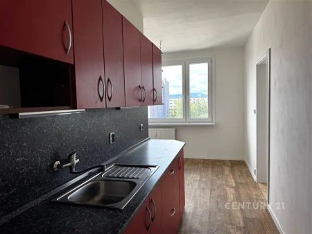 Pronájem bytu 3+1/L, sklep, po rekonstrukci - Fotografie 3