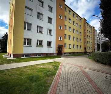Grudziądz, Centrum Mieszkanie na wynajem - Photo 1