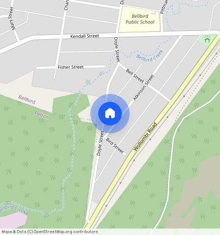 ** Atkinson Street, Bellbird, NSW 2325