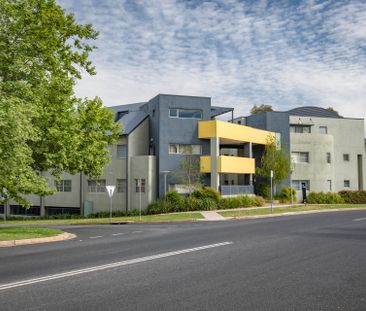 11/15 Strangways Street, Curtin ACT 2605 - Apartment For Rent | Domain - Photo 5