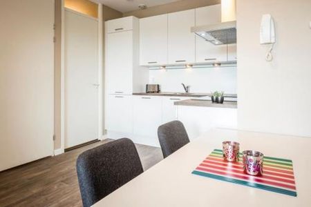 Aaf Bouberstraat 1065 LV Amsterdam - Foto 5