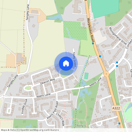 Tovey Green, Guildford, GU3 3FF, Surrey