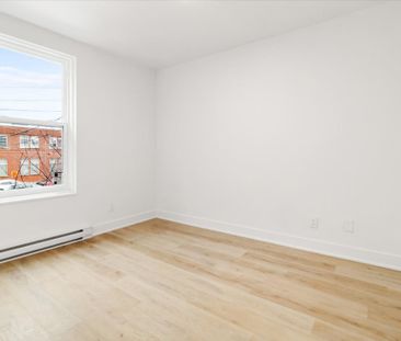 6882 Rue St Dominique, Montréal (Rosemont, QC H2S - Photo 5