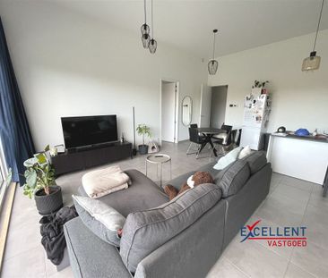 Appartement te huur in Deinze - Foto 1