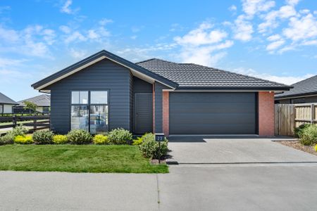 Modern Delight in Rolleston 2.5 Year old - Photo 5