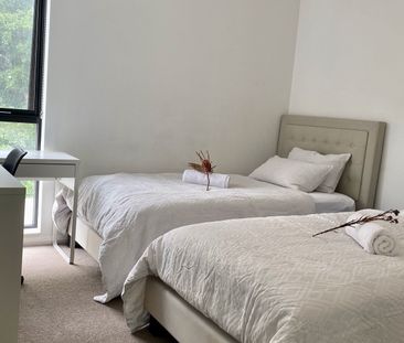 303/92 Cope Street, Waterloo NSW 2017 - Apartment For Rent | Domain - Photo 5