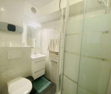 Location Appartement 1 pièce 15m² NICE 06000 - Photo 4