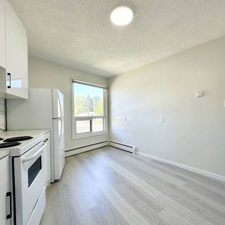 Brand new 3 bed 2 bath spacious apartment, steps to U o C - Photo 3