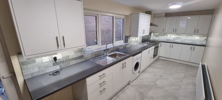 46 Donnybrook Street, Belfast BT9 7DD - Photo 4