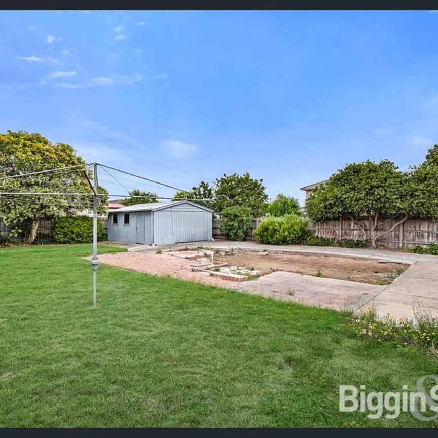 FAMILY PERFECTION - Photo 1