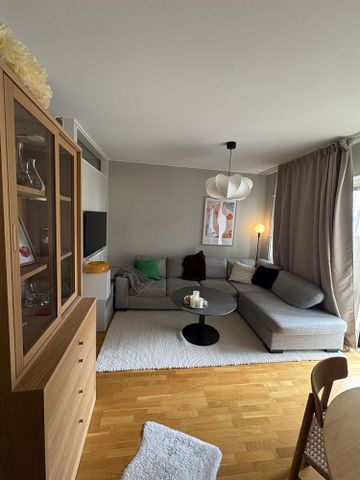 Bågljusvägen - Foto 4