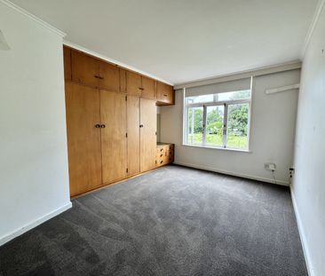 Quiet but in the Heart of the Action - Photo 4