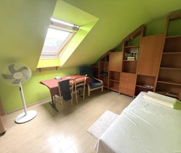 PRONÁJEM VYBAVENÉHO POKOJE V POPŮVKÁCH U BRNA - Fotografie 5
