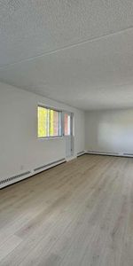 Grand appartement éclairé et chauffé - Photo 4