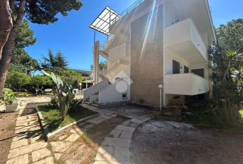 Villa singola in affitto