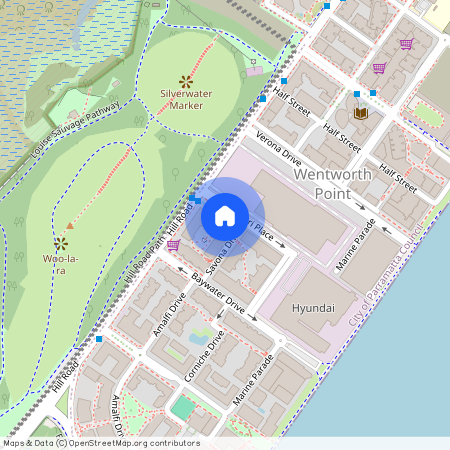 310/6 Nuvolari Place, Wentworth Point NSW 2127