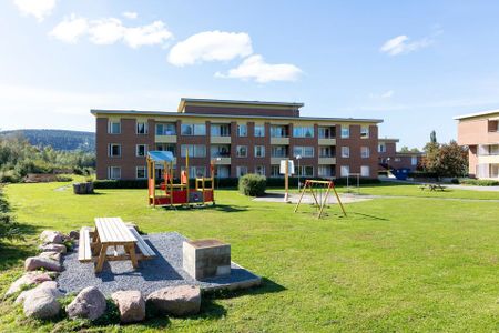Storgatan, Sollefteå - Foto 3