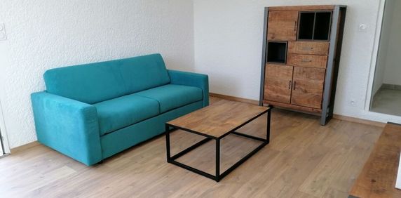 Location Appartement 1 pièce Meublé 44m² ST PIERRE DU MONT 40280 - Photo 2