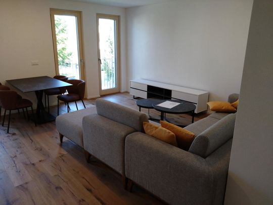 2.5 Zimmer, 50 m², 1. Stock - Photo 1