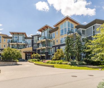 THE RADIUS - 309 - Rad309 - Photo 6